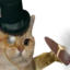 :rich_cat