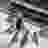 Splicer